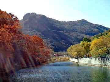 新澳天天开奖资料大全旅游团，秦皇岛期货公司